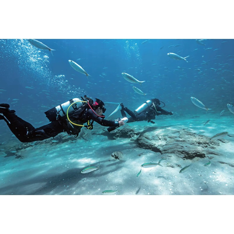 High-Speed Electric Underwater – Snorkel Dry Top Bewertung und Preis